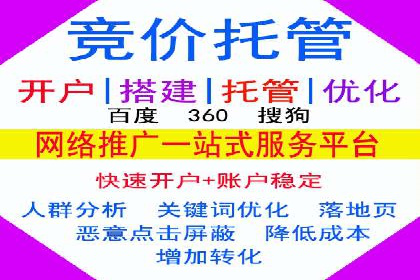 优化SEM竞价策略：成功案例剖析